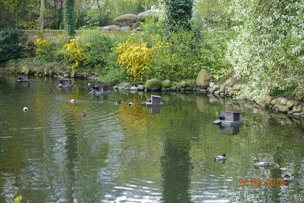 Berlin Zoo 24.4.16