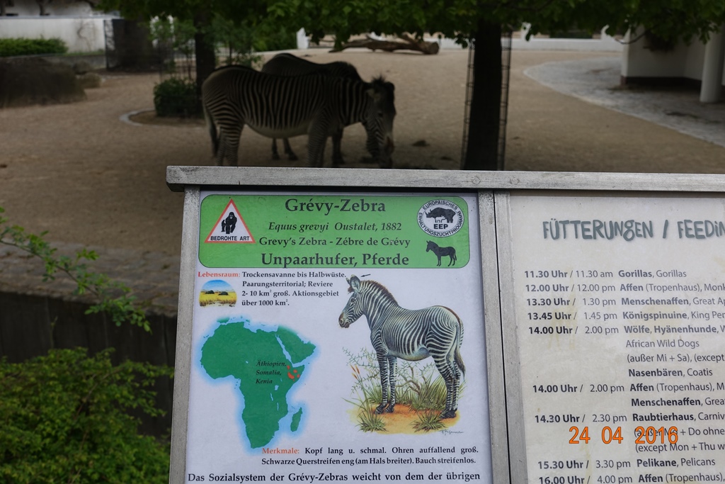 Berlin Zoo 24.4.16