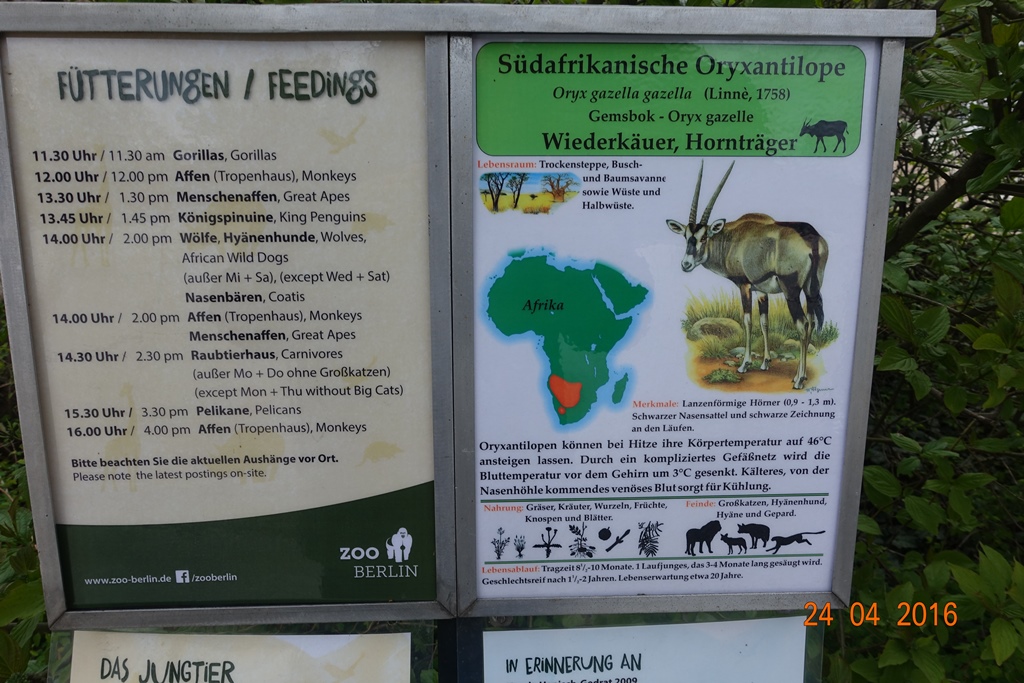 Berlin Zoo 24.4.16
