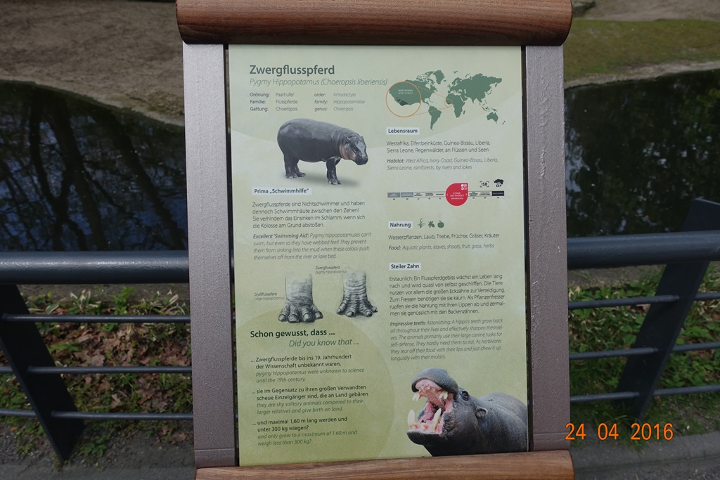 Berlin Zoo 24.4.16