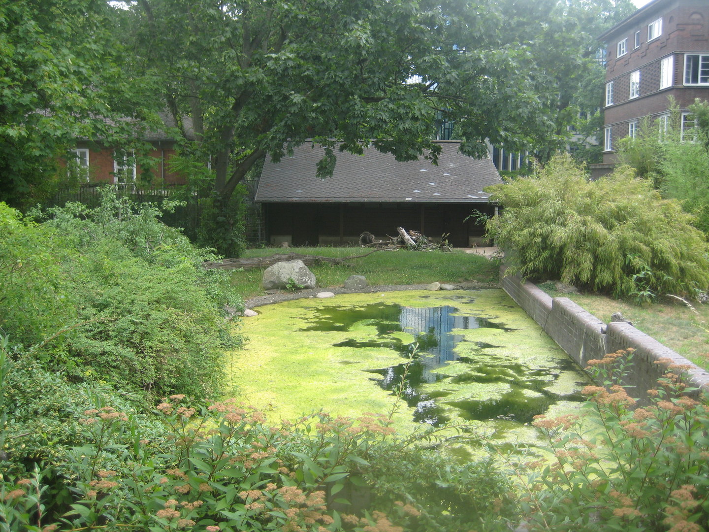 Berlin Zoo - Anteater exhibit