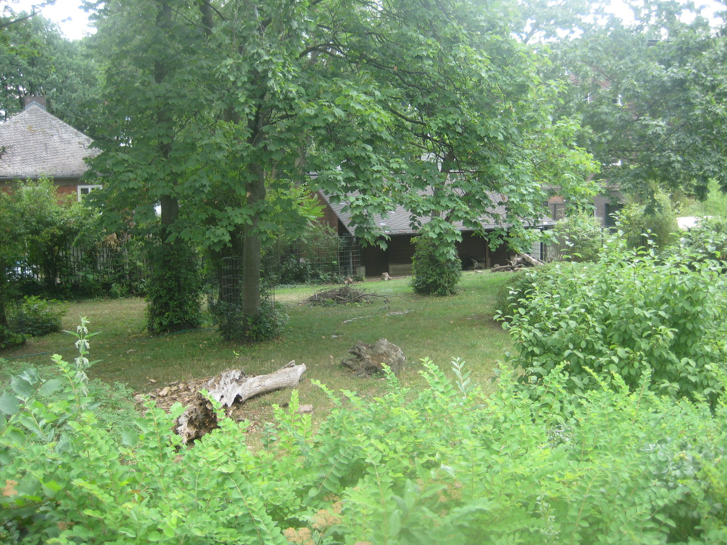 Berlin Zoo - Anteater exhibit