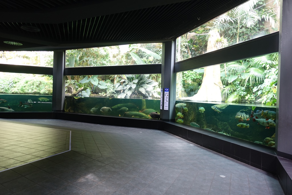 Berlin Zoo Aquarium 24.4.16