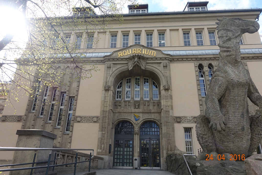 Berlin Zoo Aquarium 24.4.16