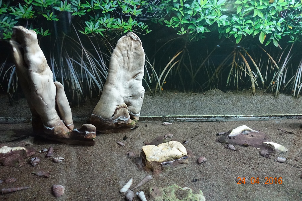 Berlin Zoo Aquarium 24.4.16