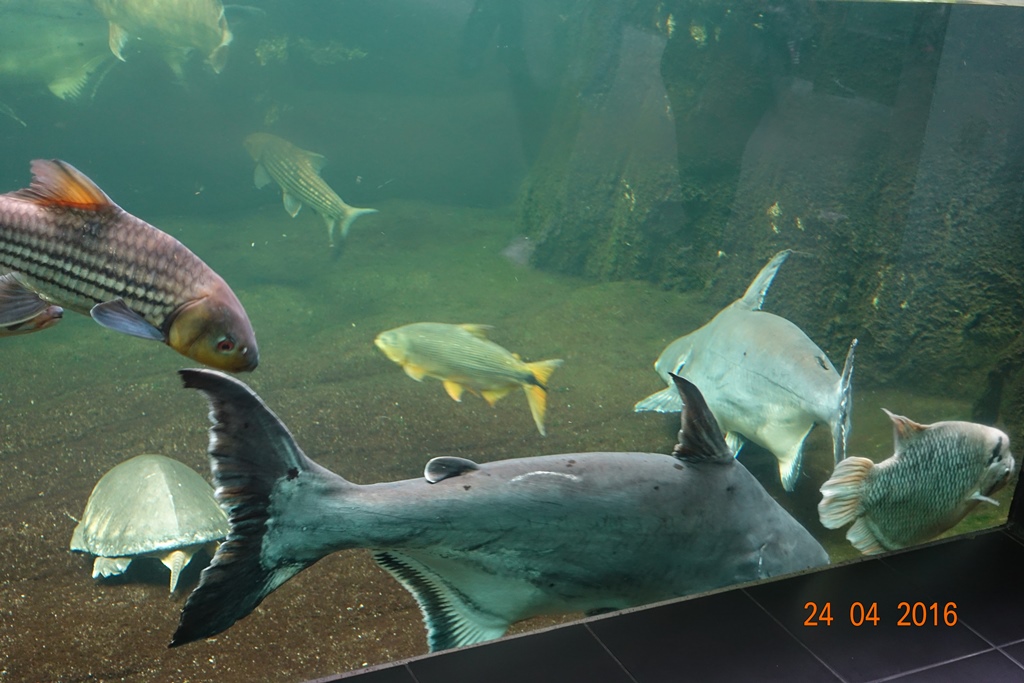 Berlin Zoo Aquarium 24.4.16