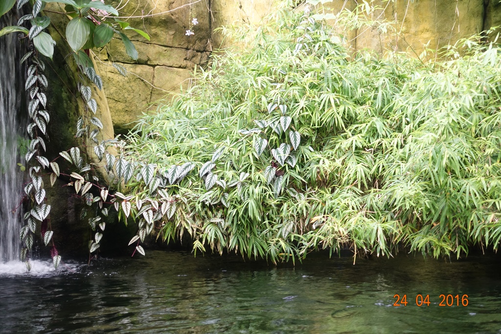 Berlin Zoo Aquarium 24.4.16