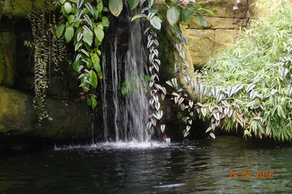 Berlin Zoo Aquarium 24.4.16
