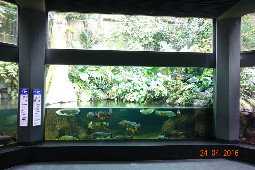 Berlin Zoo Aquarium 24.4.16