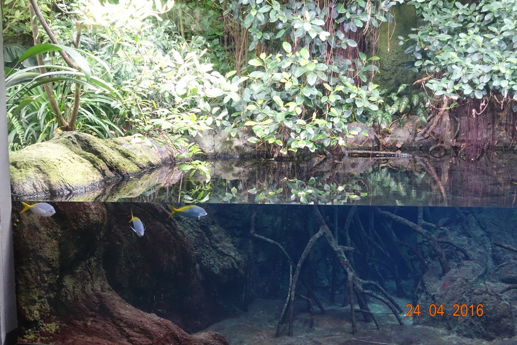 Berlin Zoo Aquarium 24.4.16
