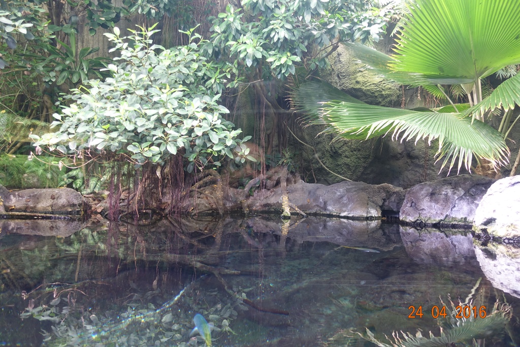 Berlin Zoo Aquarium 24.4.16