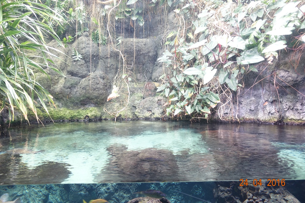 Berlin Zoo Aquarium 24.4.16
