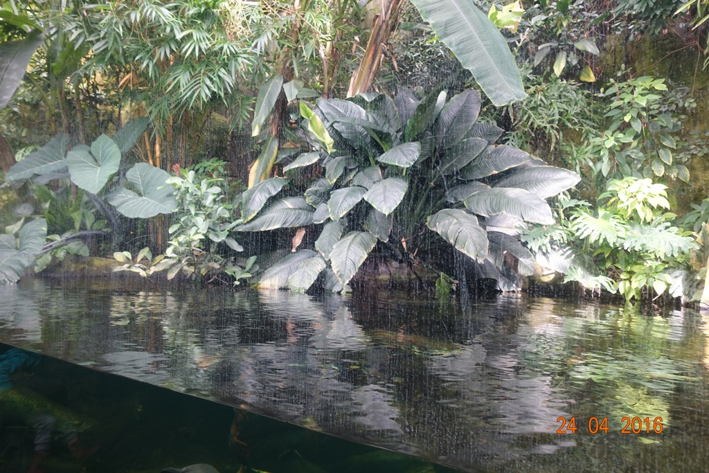 Berlin Zoo Aquarium 24.4.16