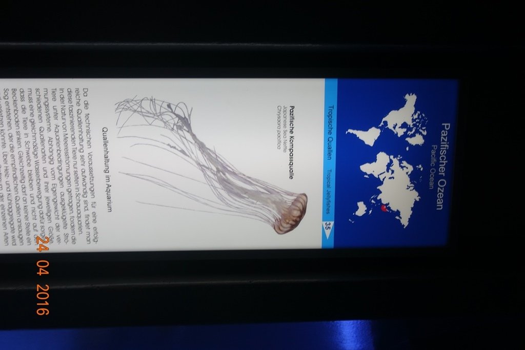 Berlin Zoo Aquarium 24.4.16