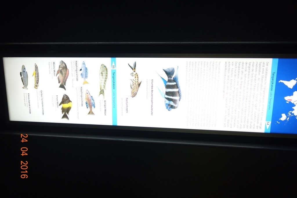 Berlin Zoo Aquarium 24.4.16