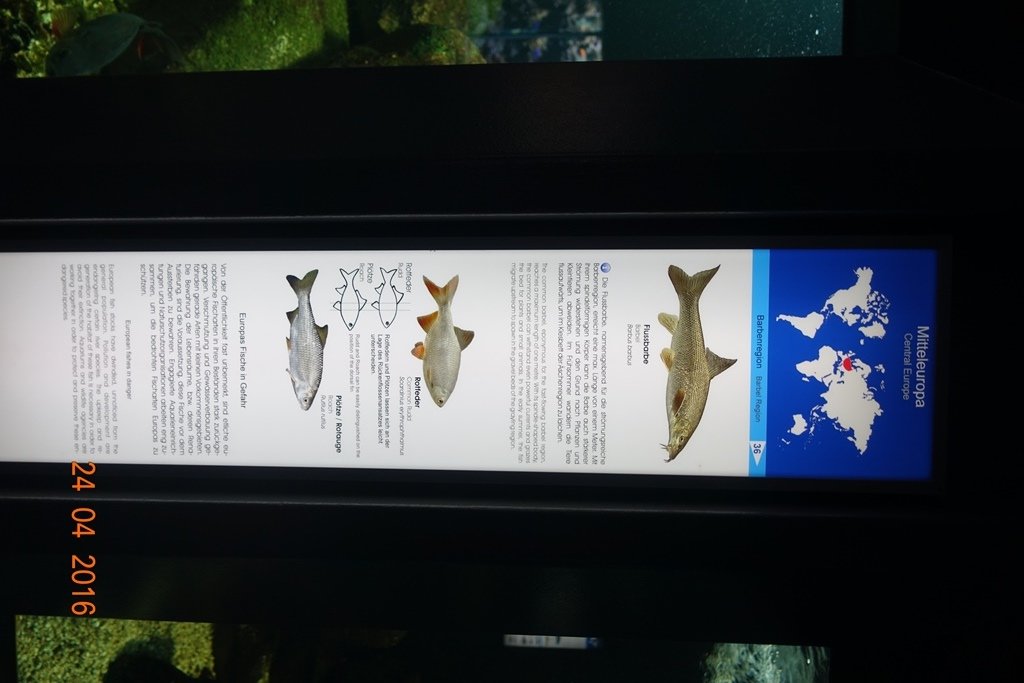 Berlin Zoo Aquarium 24.4.16