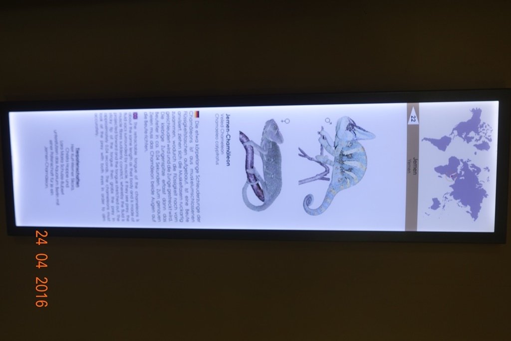 Berlin Zoo Aquarium 24.4.16