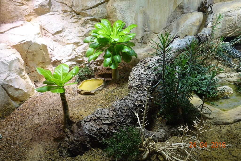 Berlin Zoo Aquarium 24.4.16