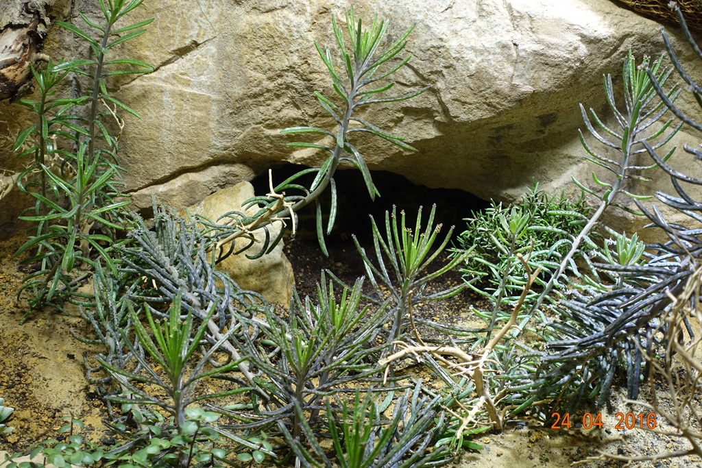 Berlin Zoo Aquarium 24.4.16