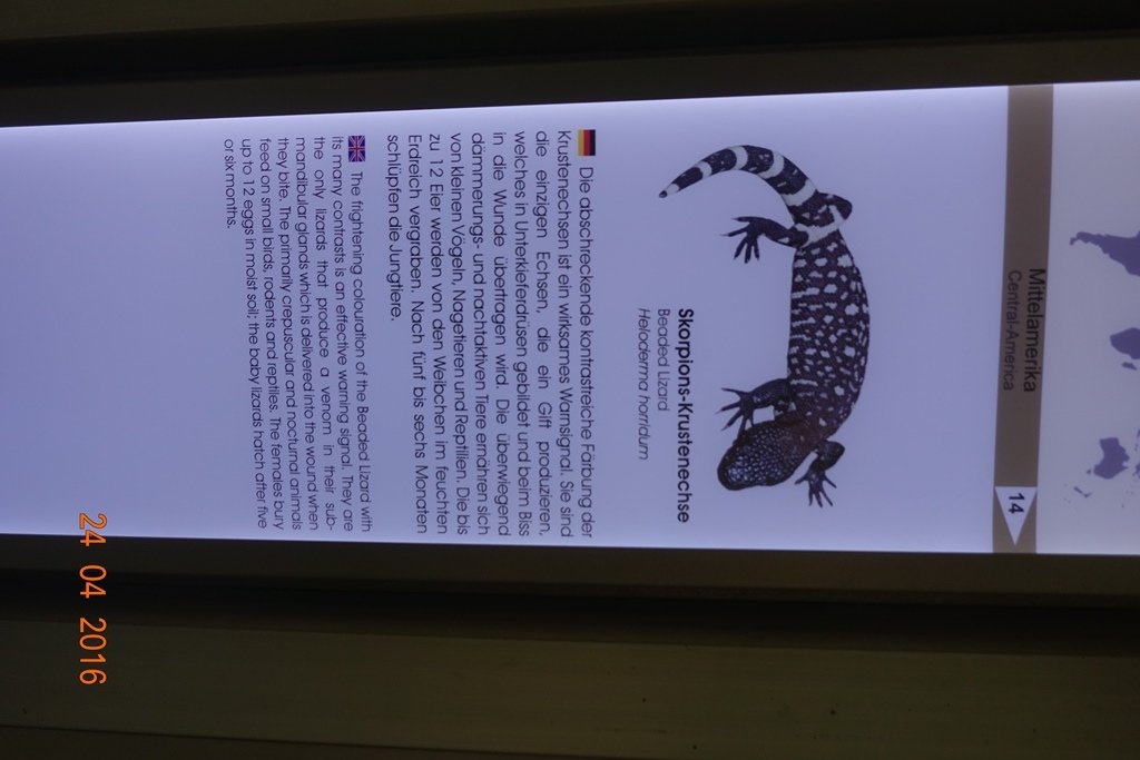 Berlin Zoo Aquarium 24.4.16