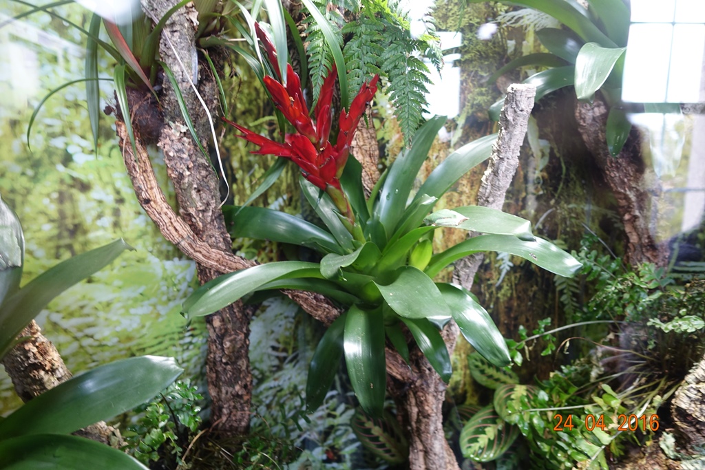 Berlin Zoo Aquarium 24.4.16