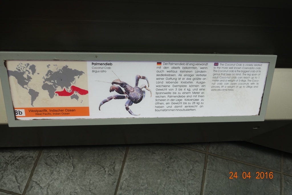 Berlin Zoo Aquarium 24.4.16