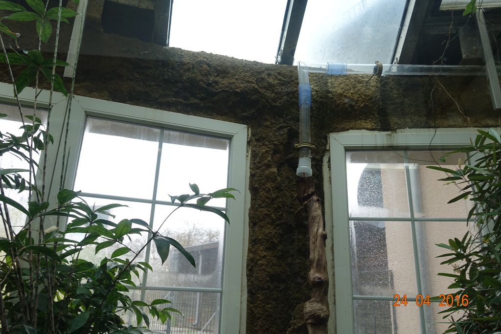 Berlin Zoo Aquarium 24.4.16