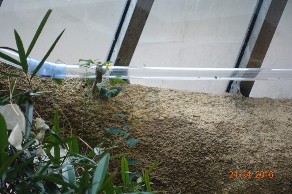 Berlin Zoo Aquarium 24.4.16