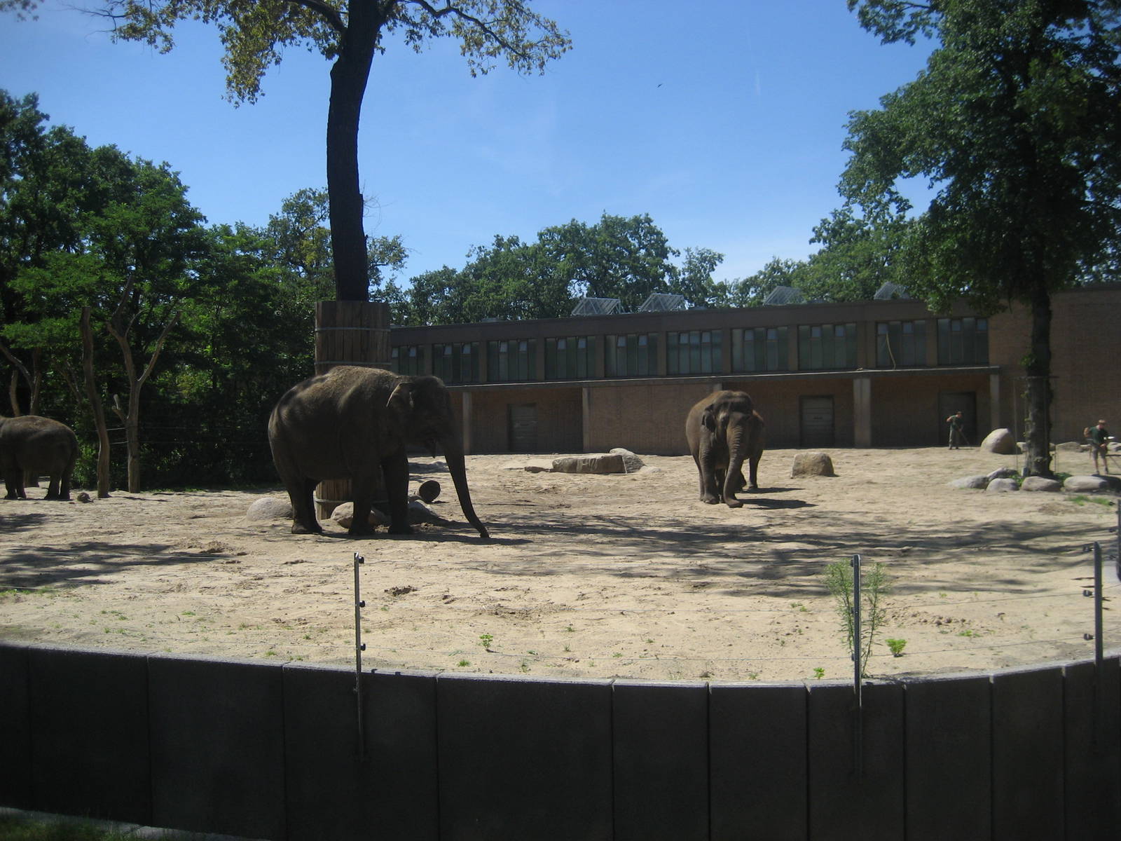Berlin Zoo - Elephant exhibit