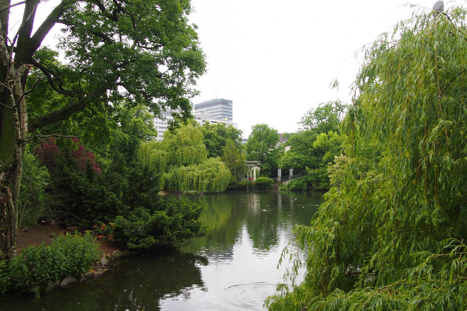Berlin Zoo General View - 2013