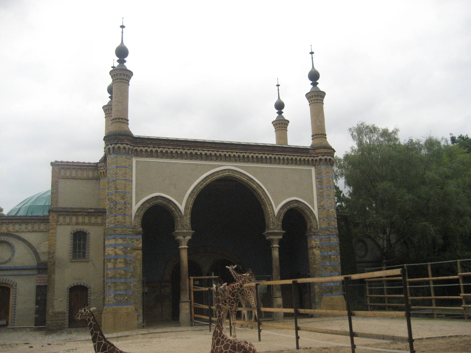 Berlin Zoo - Giraffe Palace
