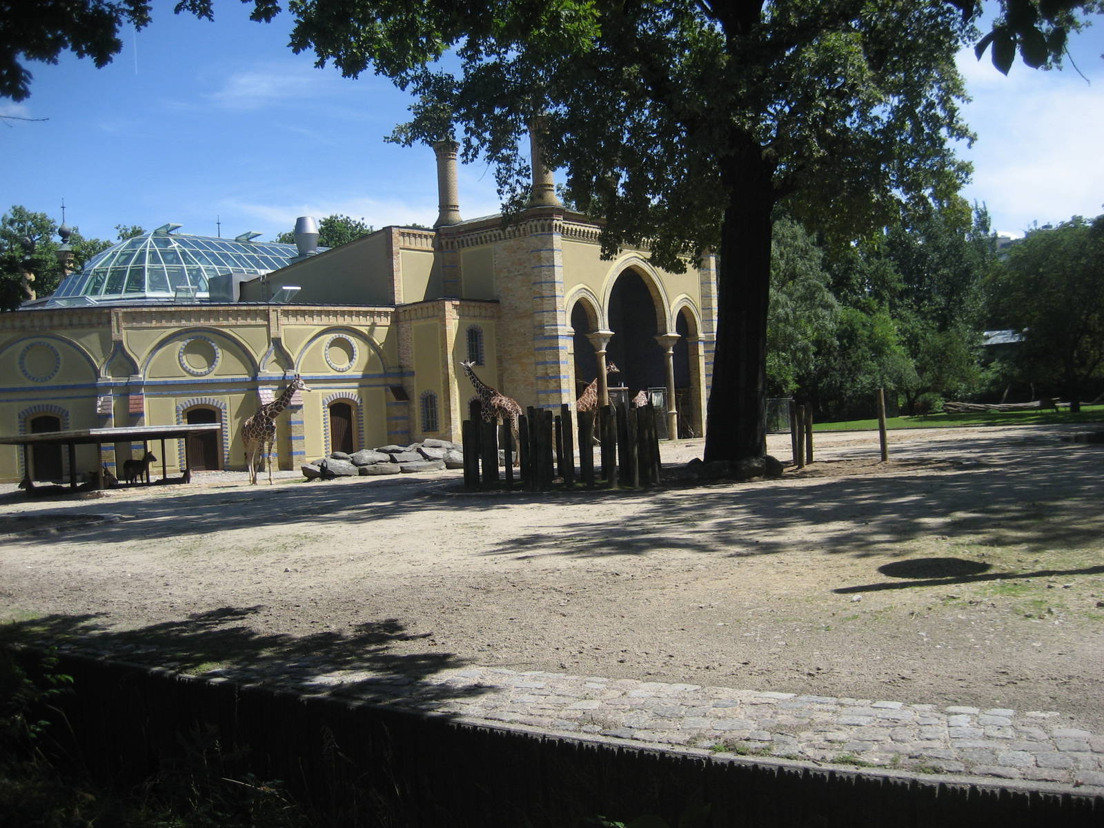 Berlin Zoo - Giraffe/waterbuck exhibit