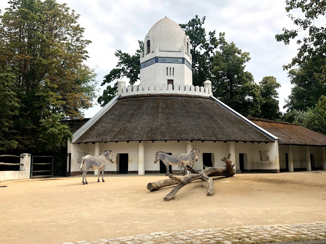Berlin Zoo- grevy zebra enclosure with historic stable- 2020