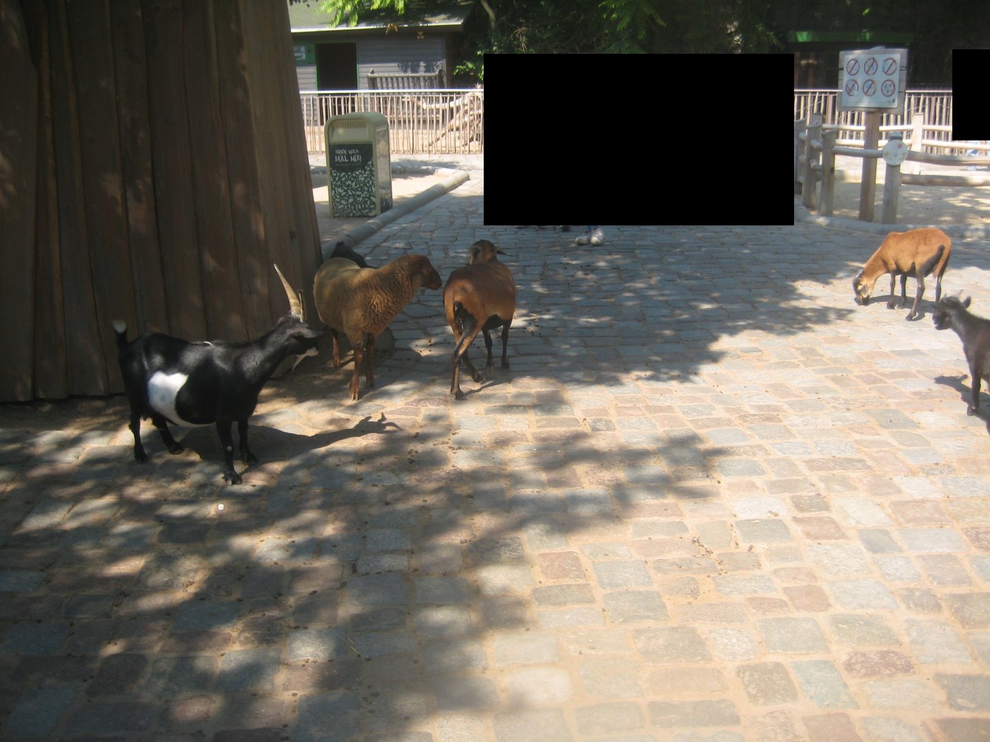 Berlin Zoo - Hans im Glück - Main exhibit