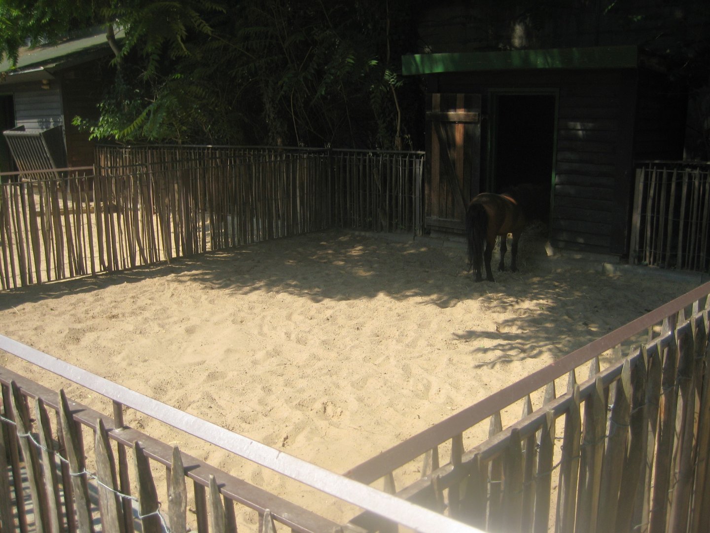 Berlin Zoo - Hans im Glück - Pony exhibit