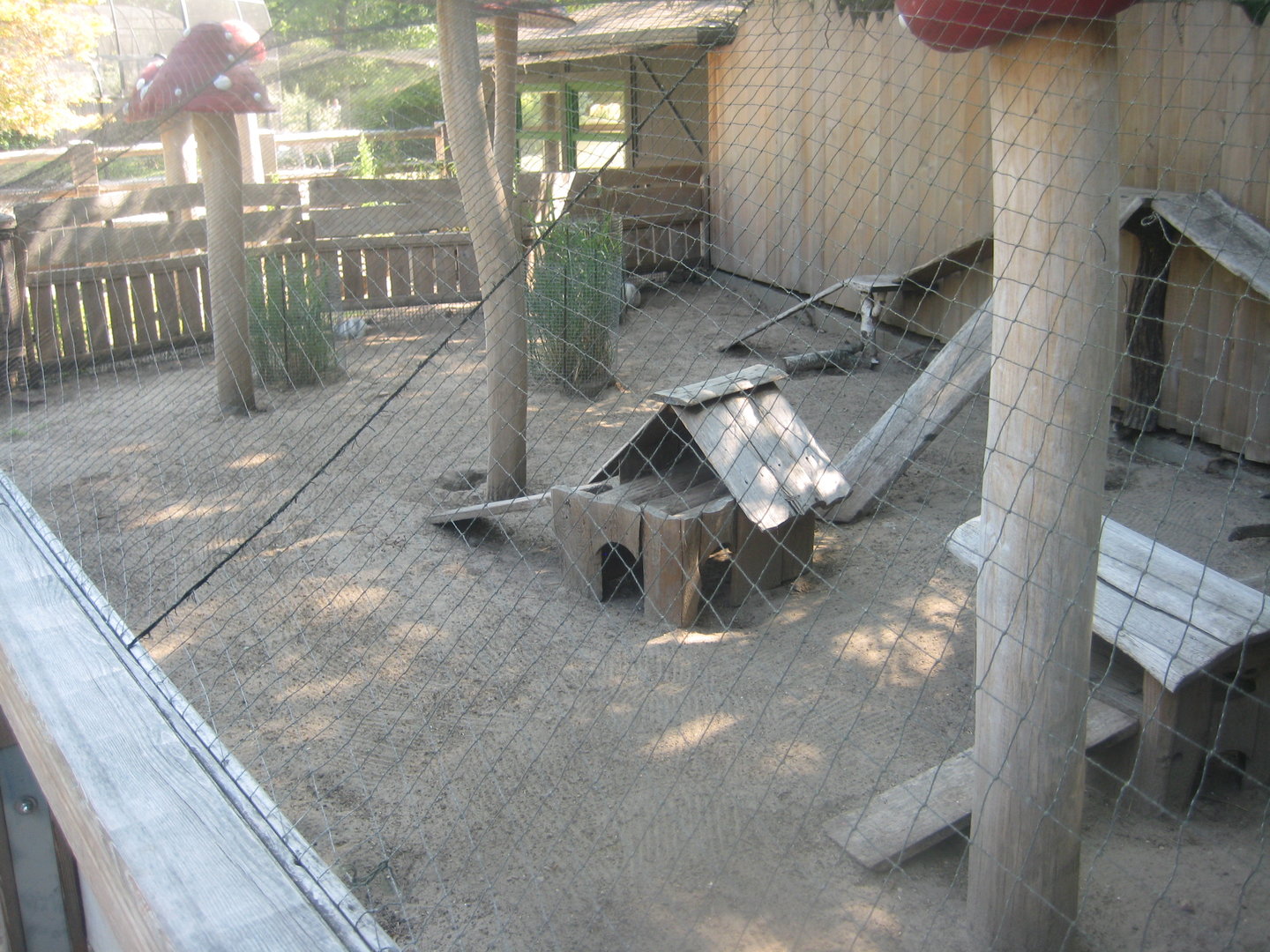 Berlin Zoo - Hans im Glück - Rabbit exhibit
