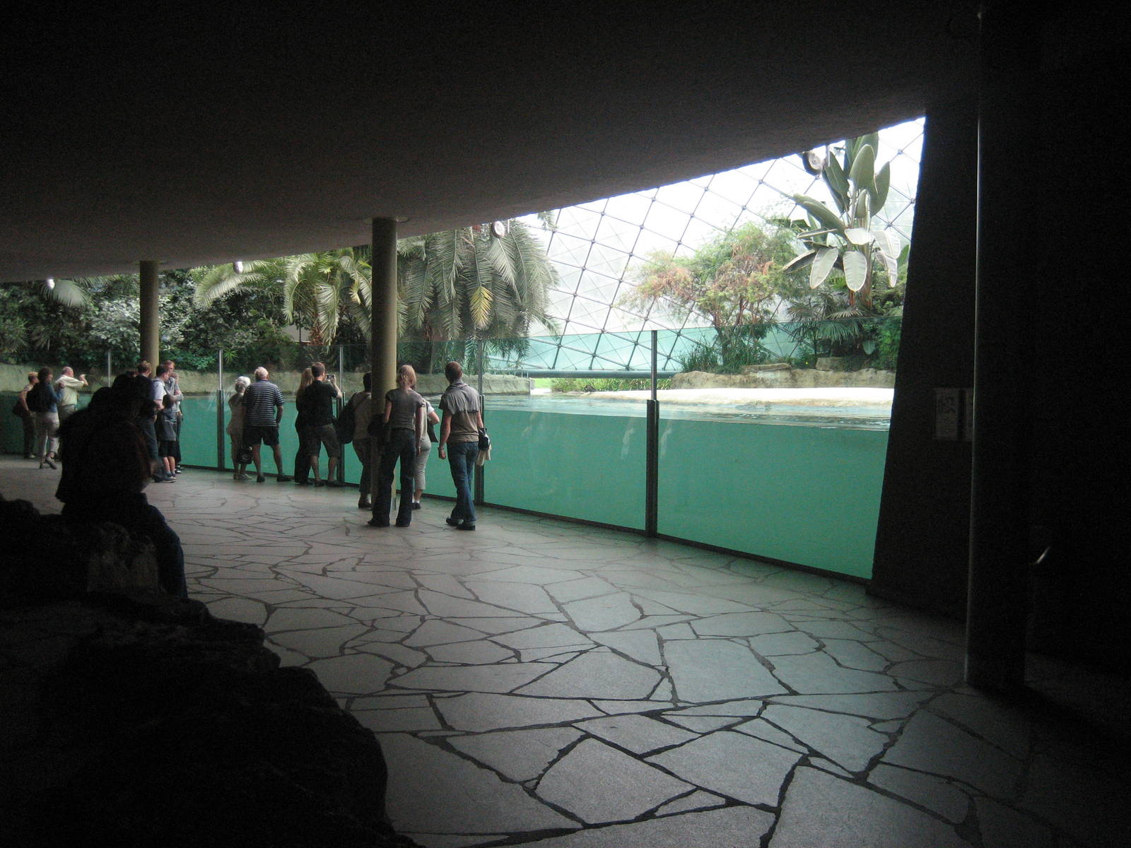 Berlin Zoo - Hippo House