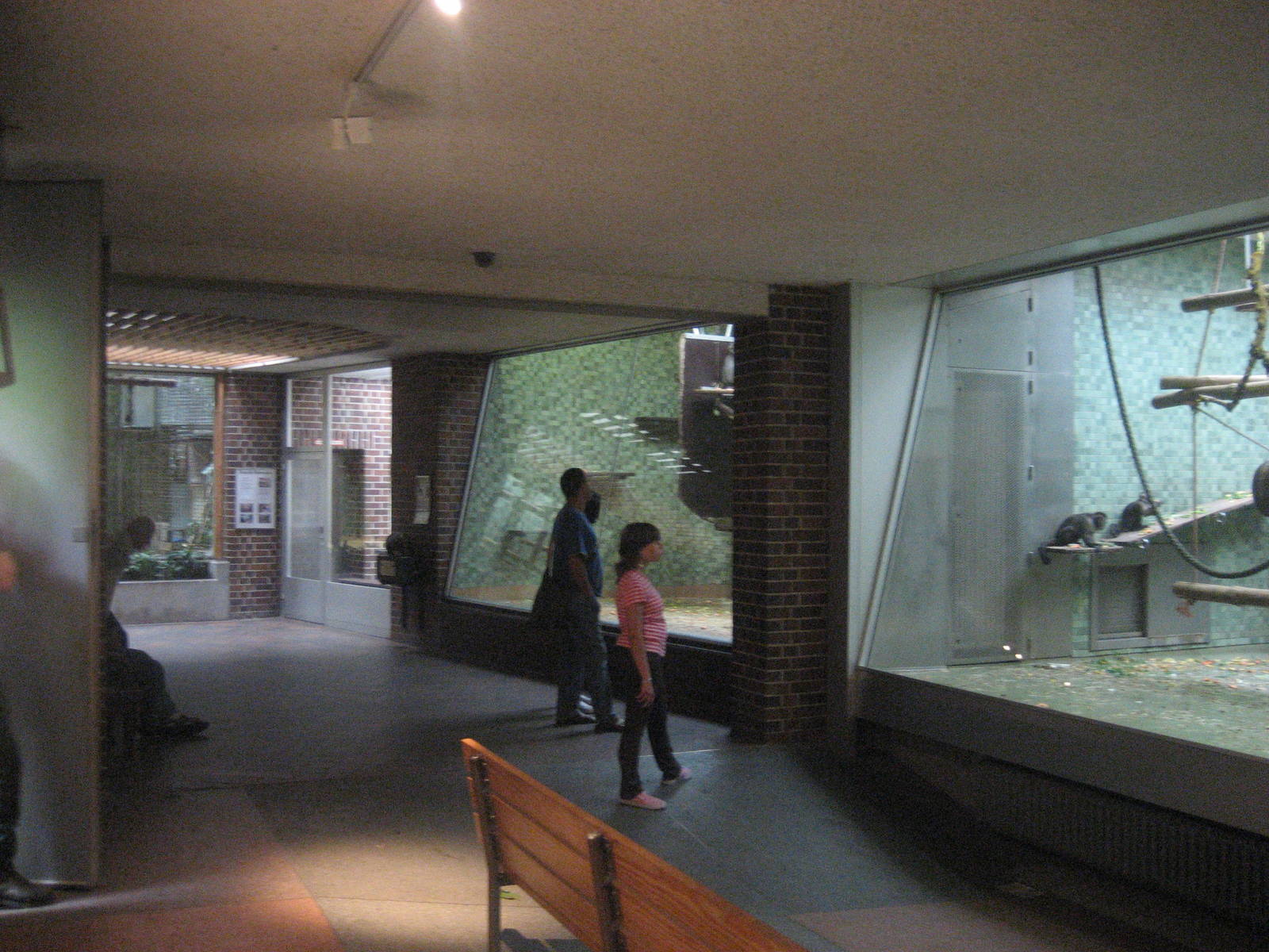 Berlin Zoo - Monkey House