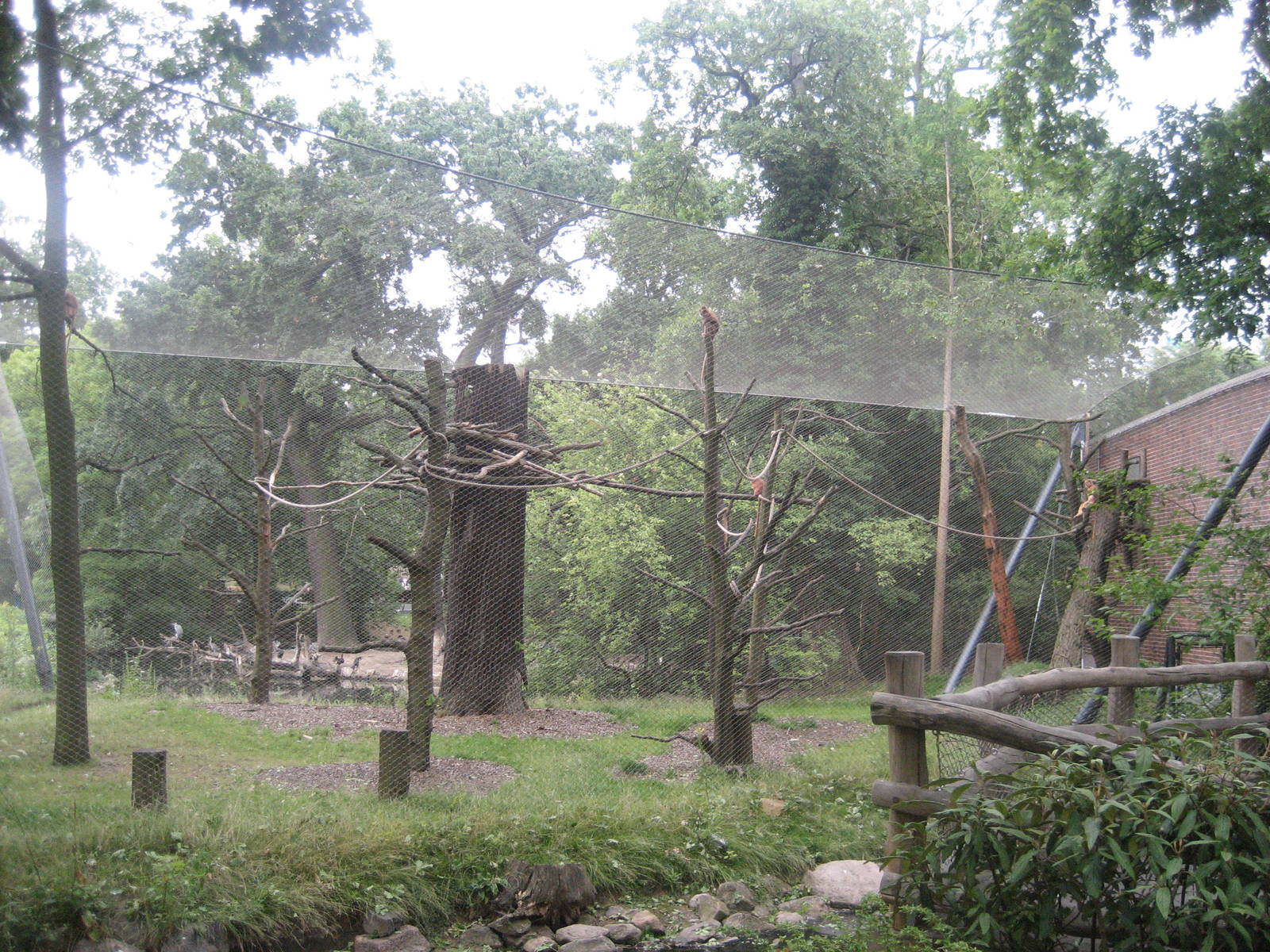 Berlin Zoo - Monkey Island