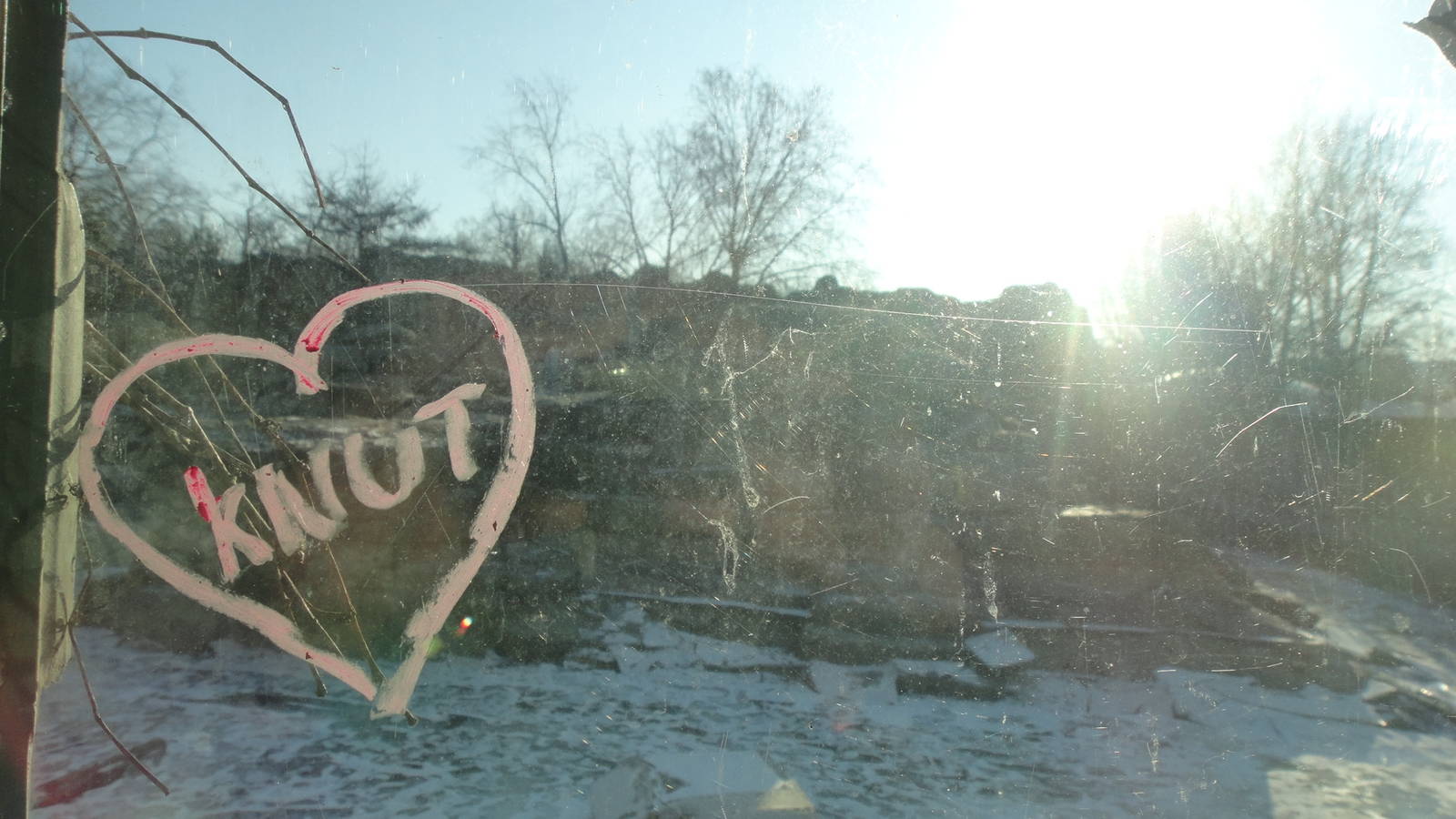 Berlin Zoo Polar Bear Exhibit