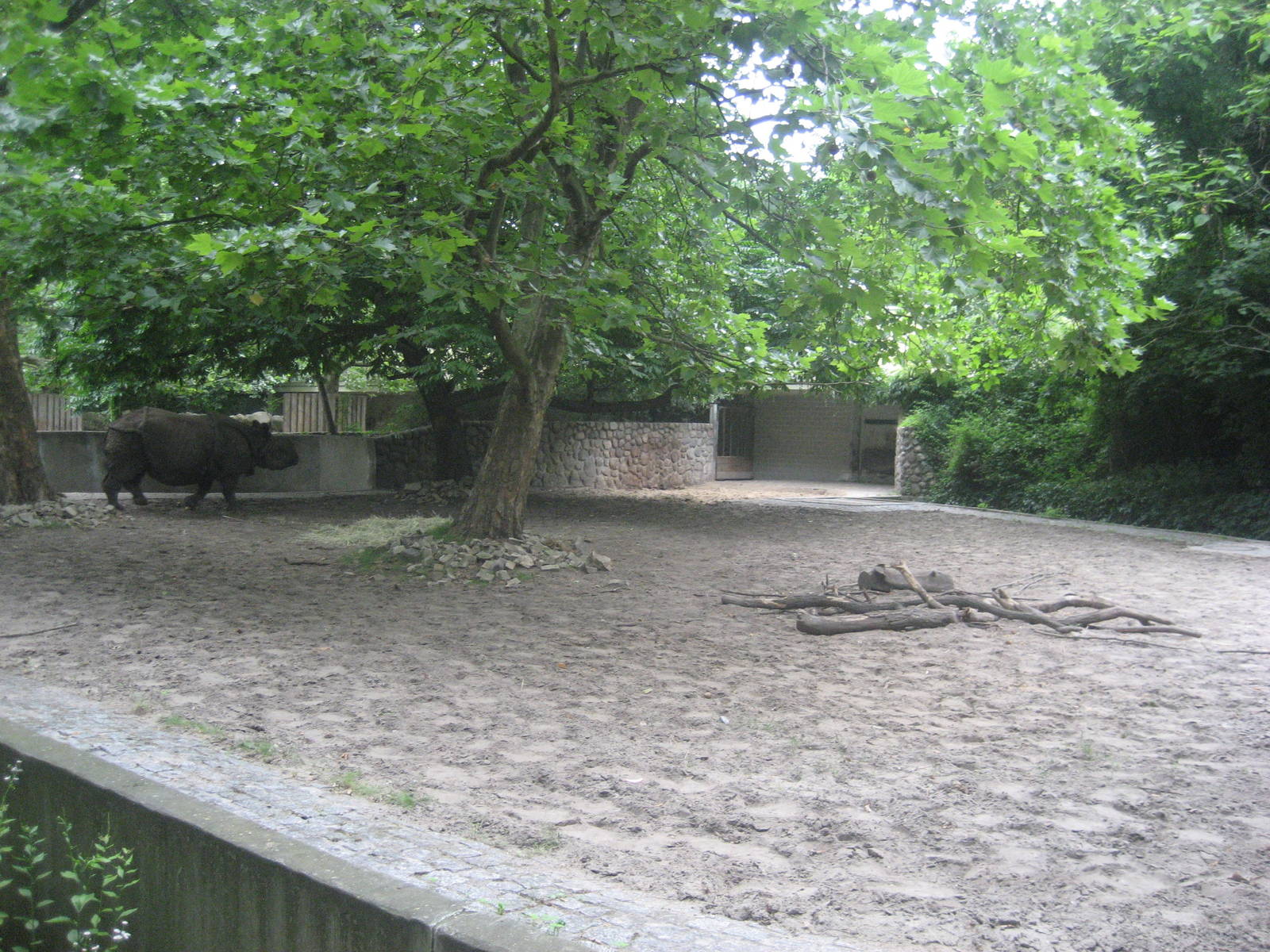 Berlin Zoo - Rhino Outdoor Exhibit