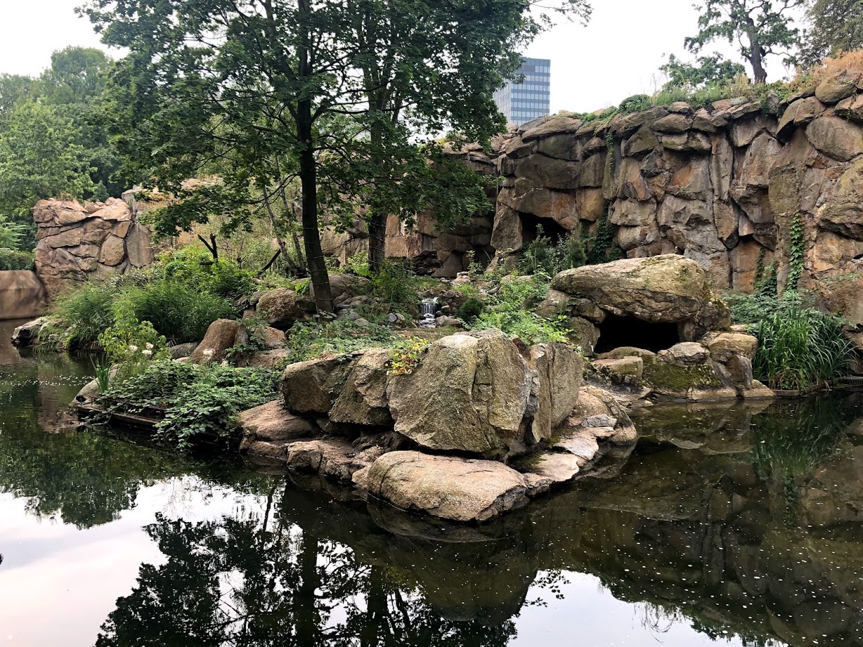 Berlin Zoo- tiger enclosure- 2020