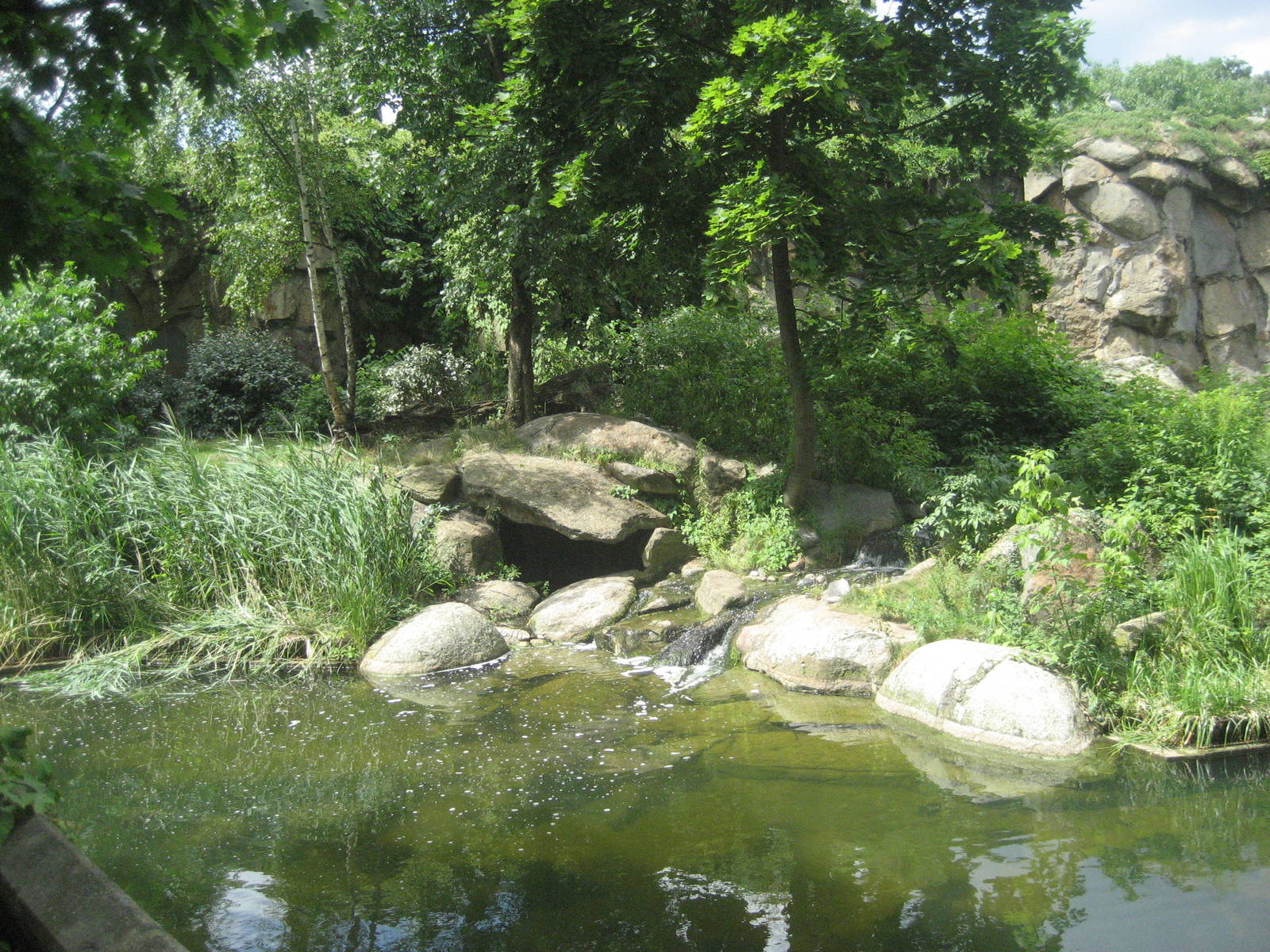 Berlin Zoo - Tiger Exhibit