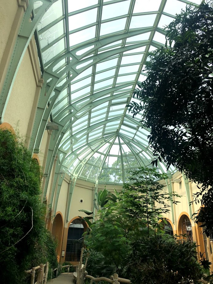 Berlin Zoo- tropical centre hall in the historic antelope house- 2020