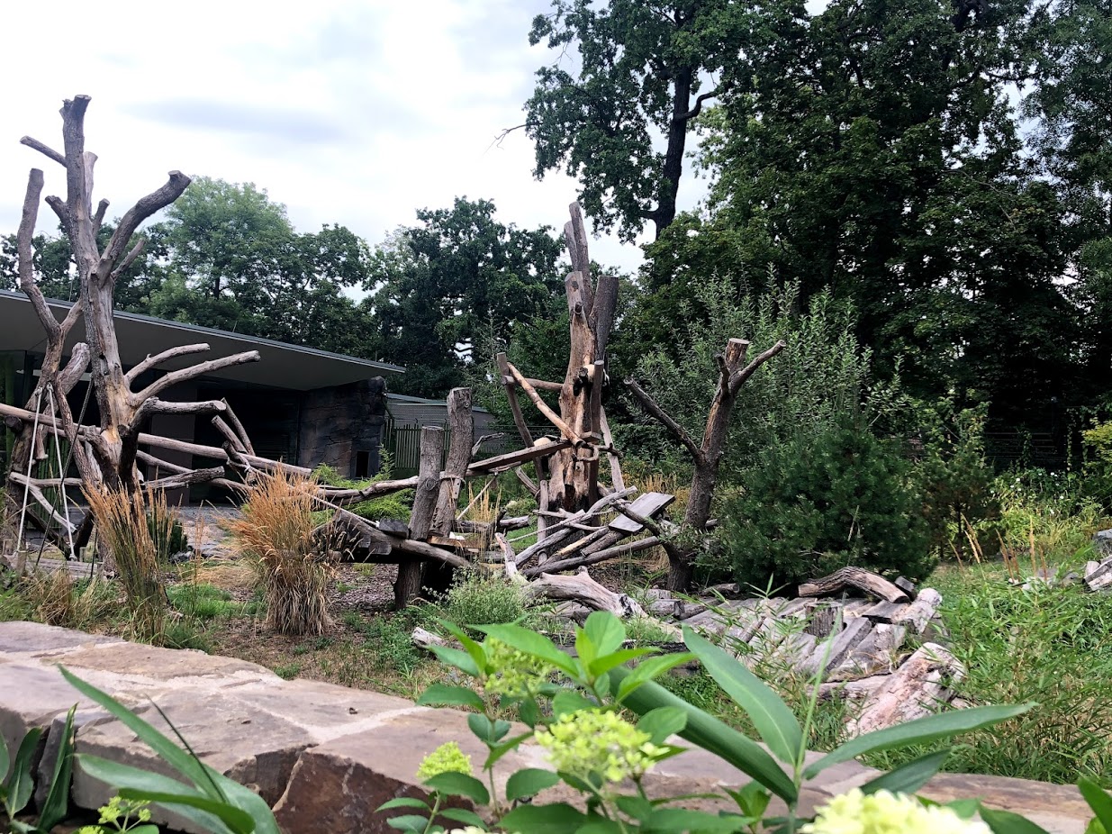 Berlin Zoo- view into the panda enclosure- 2020