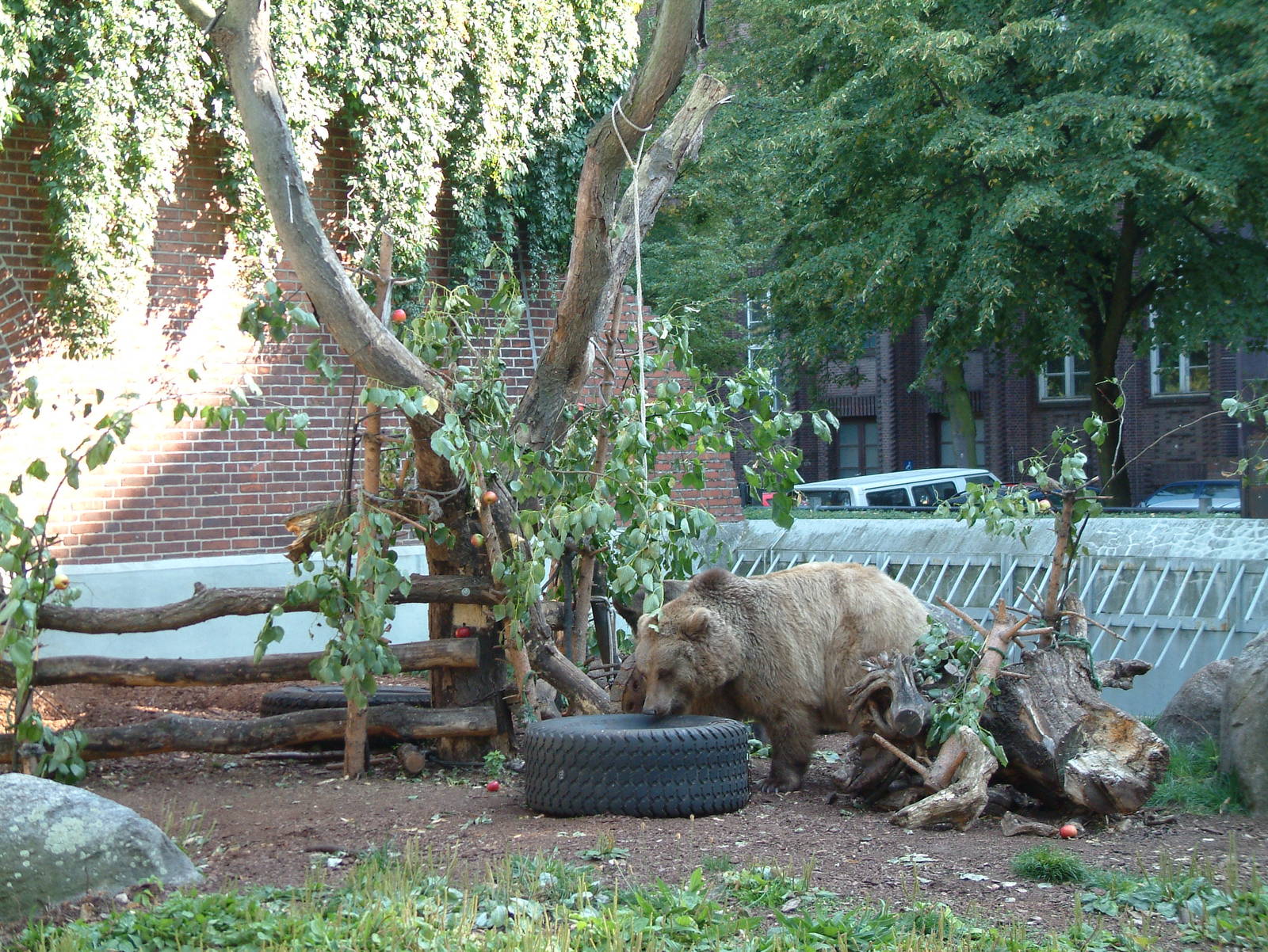 Berlin's three brown bears