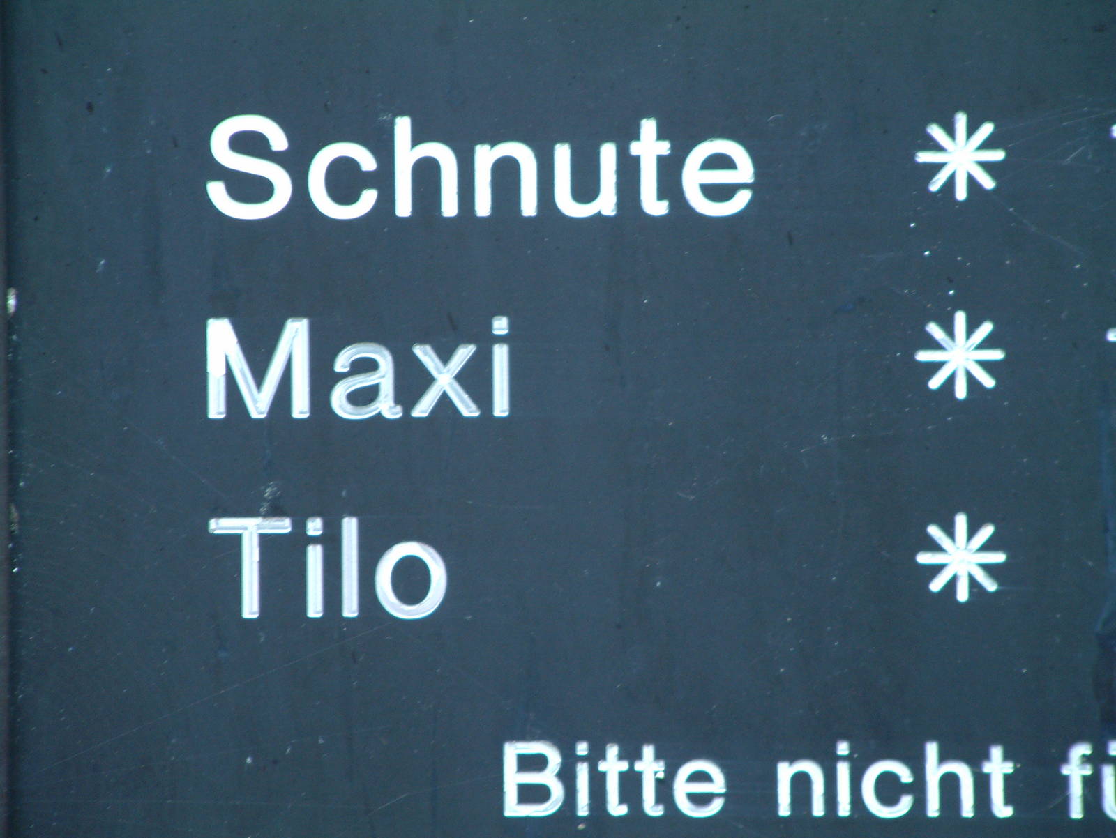 Berlin's three brown bears