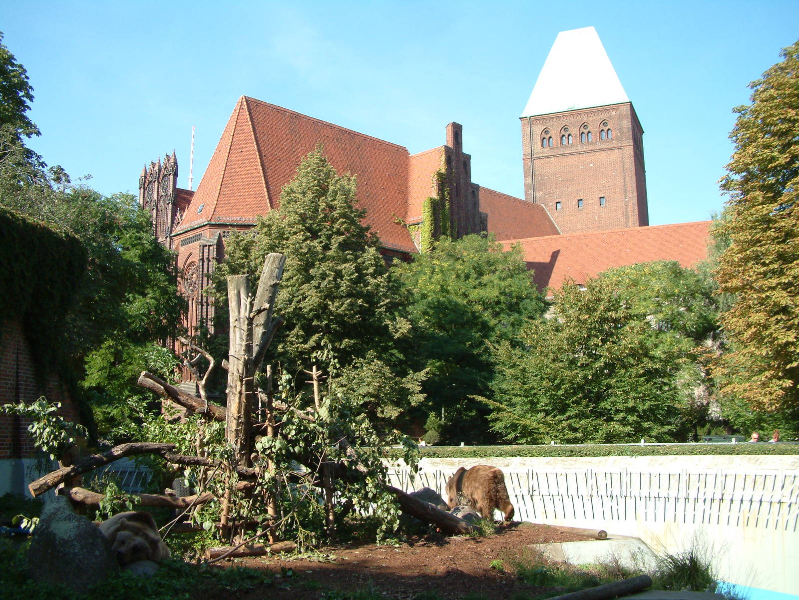 Berlin's three brown bears