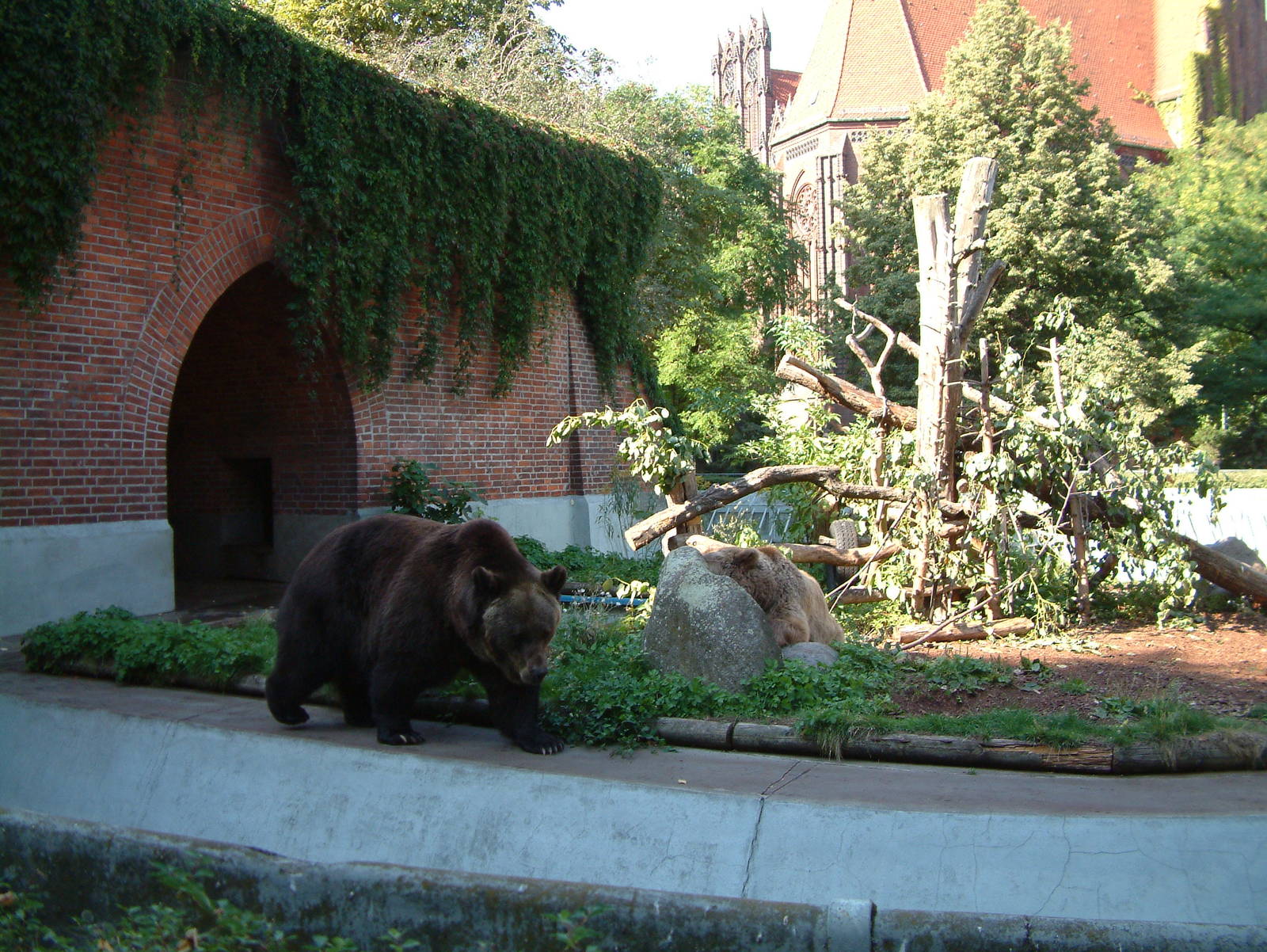 Berlin's three brown bears