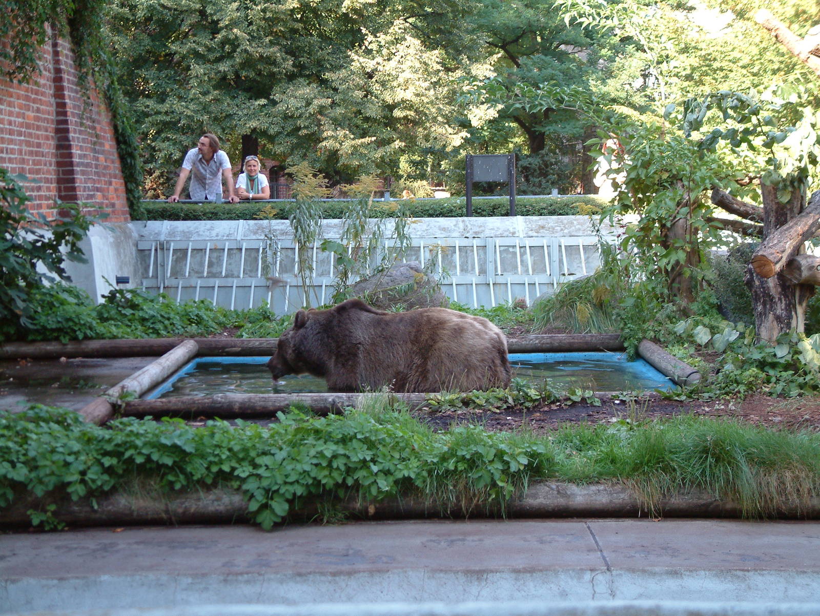 Berlin's three brown bears